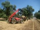 2024 :: Trasplante de árboles de un campo de golf en Madrid